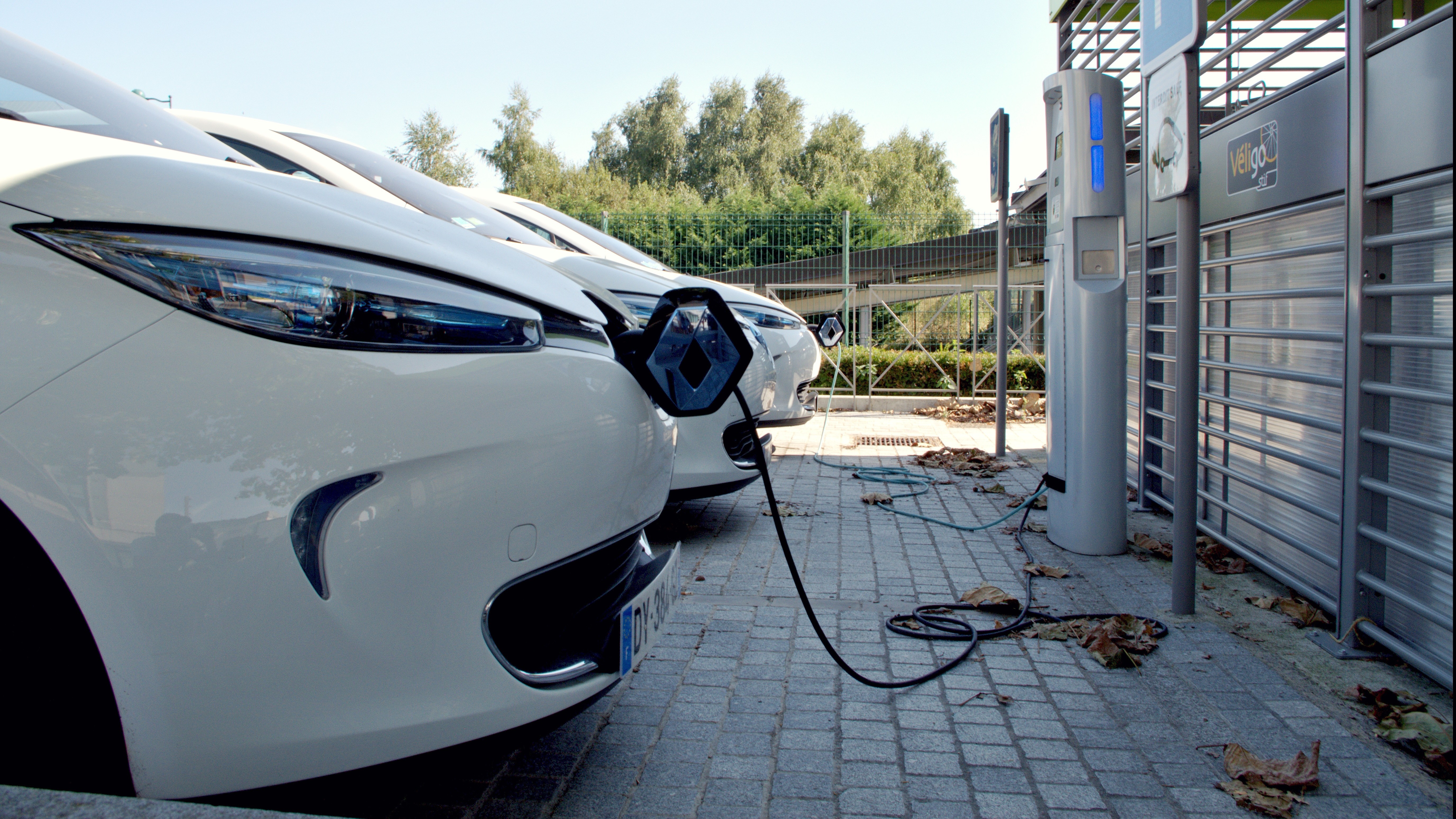 Online-Event: Elektromobilität für Kunden, Mitarbeitende und Ihr Geschäft